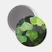 アイビーつる植物4 マグネット (正面/裏面)