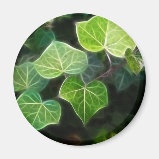 アイビーつる植物4 マグネット (正面)