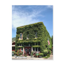 アイビーとエージ