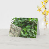 アイビーとリケンス – マーサのブドウ畑 カード (黄色い花)