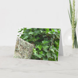 アイビーとリケンス – マーサのブドウ畑 カード