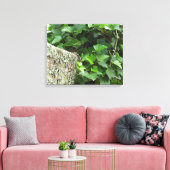 アイビーとリケンス – マーサのブドウ畑 キャンバスプリント (インサイチュ (リビング))