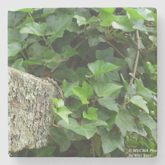 アイビーとリケンス – マーサのブドウ畑 ストーンコースター (正面)