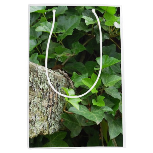 アイビーとリケンス – マーサのブドウ畑 ミディアムペーパーバッグ (正面)