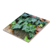 アイビーと野石 タイル (側面)