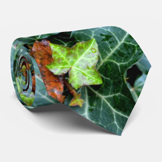 アイビーと野石 ネクタイ (ロール)