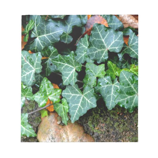 アイビーと野石 ノートパッド (正面)