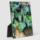 アイビーと野石 フォトプラーク (側面)