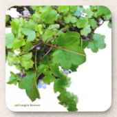 アイビーのコースター葉 コースター (正面)