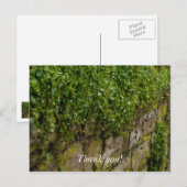 アイビーの壁 ポストカード (正面/裏面)