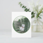 アイビーの階段のウェスティー ポストカード (スタンド正面)