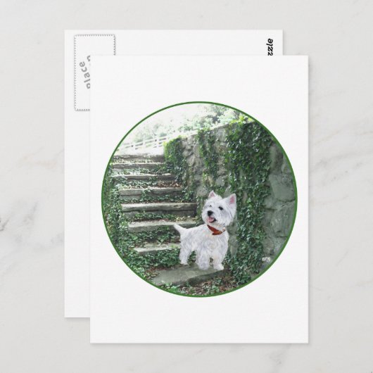 アイビーの階段のウェスティー ポストカード (正面/裏面)