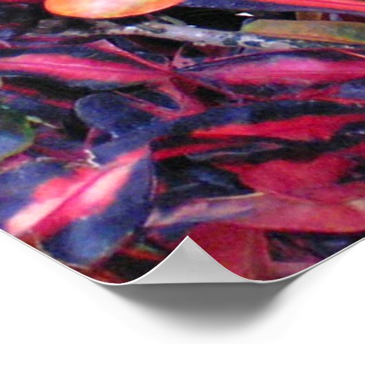 アイビーカラフル – ポスター (角)