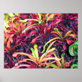 アイビーカラフル – ポスター (正面)