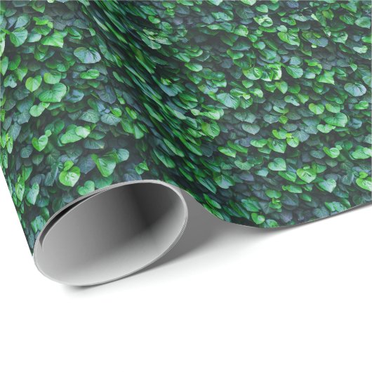 アイビーグリーンの壁:自然な表面。 ラッピングペーパー (ロールコーナー)
