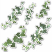 アイビーバリエーションとイングリッシュアイビーのつる植物葉と シール (正面)