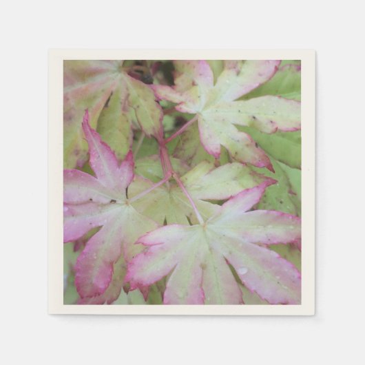 アイビープリントナプキン スタンダードカクテルナプキン (正面)