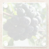 アイビーベリーズガラスコースター ガラスコースター (裏面)