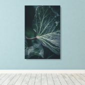 アイビーリーフ自然写真 キャンバスプリント (インサイチュ (ウッドフロア))