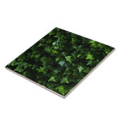 アイビー背景、緑葉の現実主義、自然主義 タイル (側面)