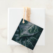 アイビー葉の自然写真 フェイバータグ (インサイチュ)