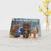 アイビー&パーカーの驚き – Cat誕生日カード カード (黄色い花)