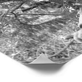 アイビー ポスター (角)