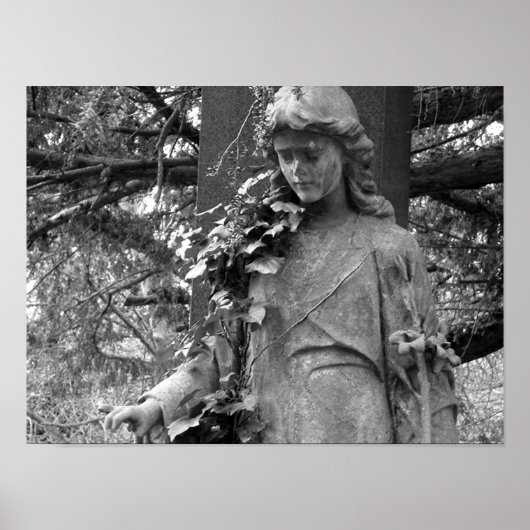 アイビー ポスター (正面)