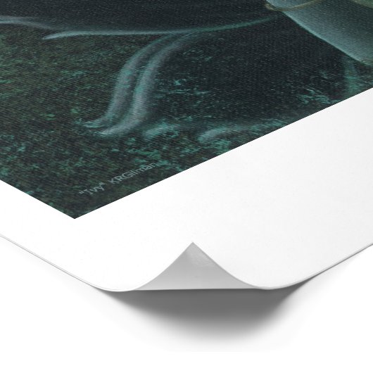 アイビー ポスター (角)