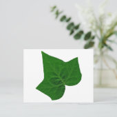 アイビー ポストカード (スタンド正面)