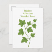 アイビー - 忠実さ、愛情、結婚した愛 インビテーションポストカード (正面/裏面)