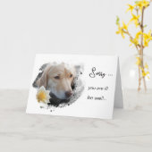 ※※ アイピー６１ フラワー シック ゲット ウェル ゴールド ドッグ カード (黄色い花)