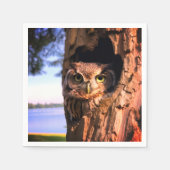 アイフクロウ スタンダードカクテルナプキン (正面)