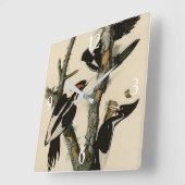 アイボリーのくちばしを持つウッドペッカー・アウドゥボンの鳥 スクエア壁時計 (傾斜)