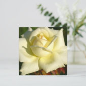 アイボリーのばら色の招待状 招待状 (スタンド正面)