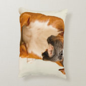 アイボリーのクリーム色の背景幕のボクサーの子犬 アクセントクッション (裏面(縦))