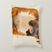 アイボリーのクリーム色の背景幕のボクサーの子犬 アクセントクッション (正面(垂直))