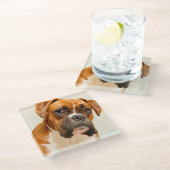 アイボリーのクリーム色の背景幕のボクサーの子犬 ガラスコースター (アングル)