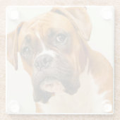 アイボリーのクリーム色の背景幕のボクサーの子犬 ガラスコースター (裏面)