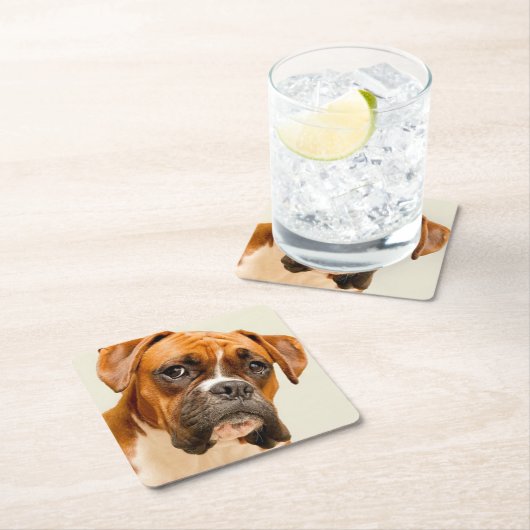 アイボリーのクリーム色の背景幕のボクサーの子犬 スクエアペーパーコースター (インサイチュ)