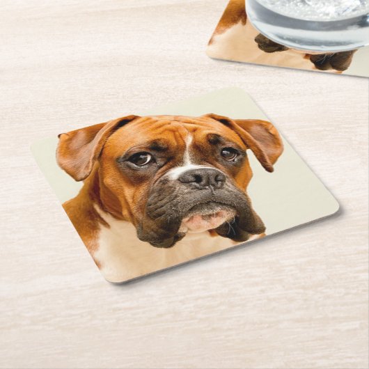 アイボリーのクリーム色の背景幕のボクサーの子犬 スクエアペーパーコースター (アングル)