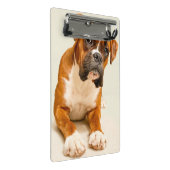 アイボリーのクリーム色の背景幕のボクサーの子犬 ミニクリップボード (アングル)