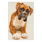 アイボリーのクリーム色の背景幕のボクサーの子犬 ミニクリップボード (裏面)