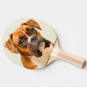 アイボリーのクリーム色の背景幕のボクサーの子犬 卓球ラケット (横)