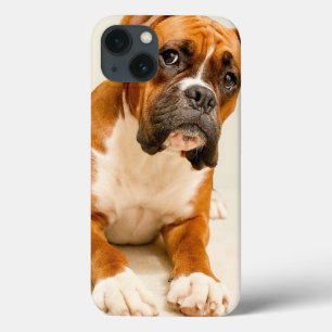 アイボリーのクリーム色の背景幕のボクサーの子犬 iPhone 13ケース
