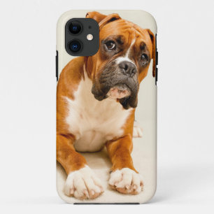 アイボリーのクリーム色の背景幕のボクサーの子犬 iPhone 11 ケース