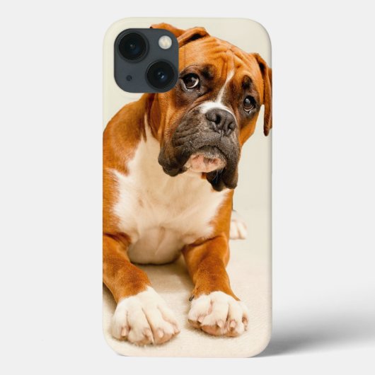 アイボリーのクリーム色の背景幕のボクサーの子犬 Case-Mate iPhoneケース (裏面)