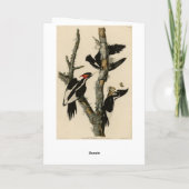 アイボリーのハシミドリ カード (裏面)