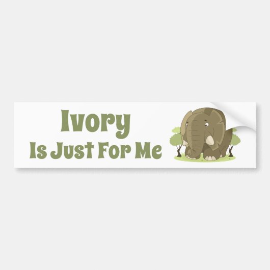 アイボリーはJust For Me Bumper Sticker バンパーステッカー (正面)