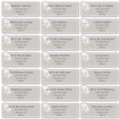 アイボリーエレガントホワイトパンパスグラス シール (正面)